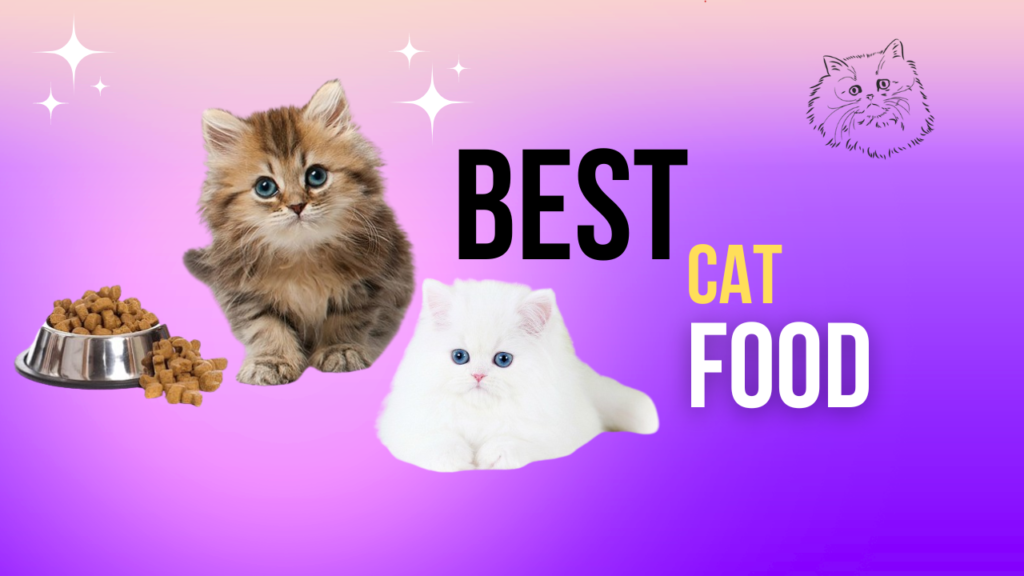 Best Cat Food